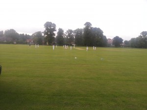 Cricket on the green